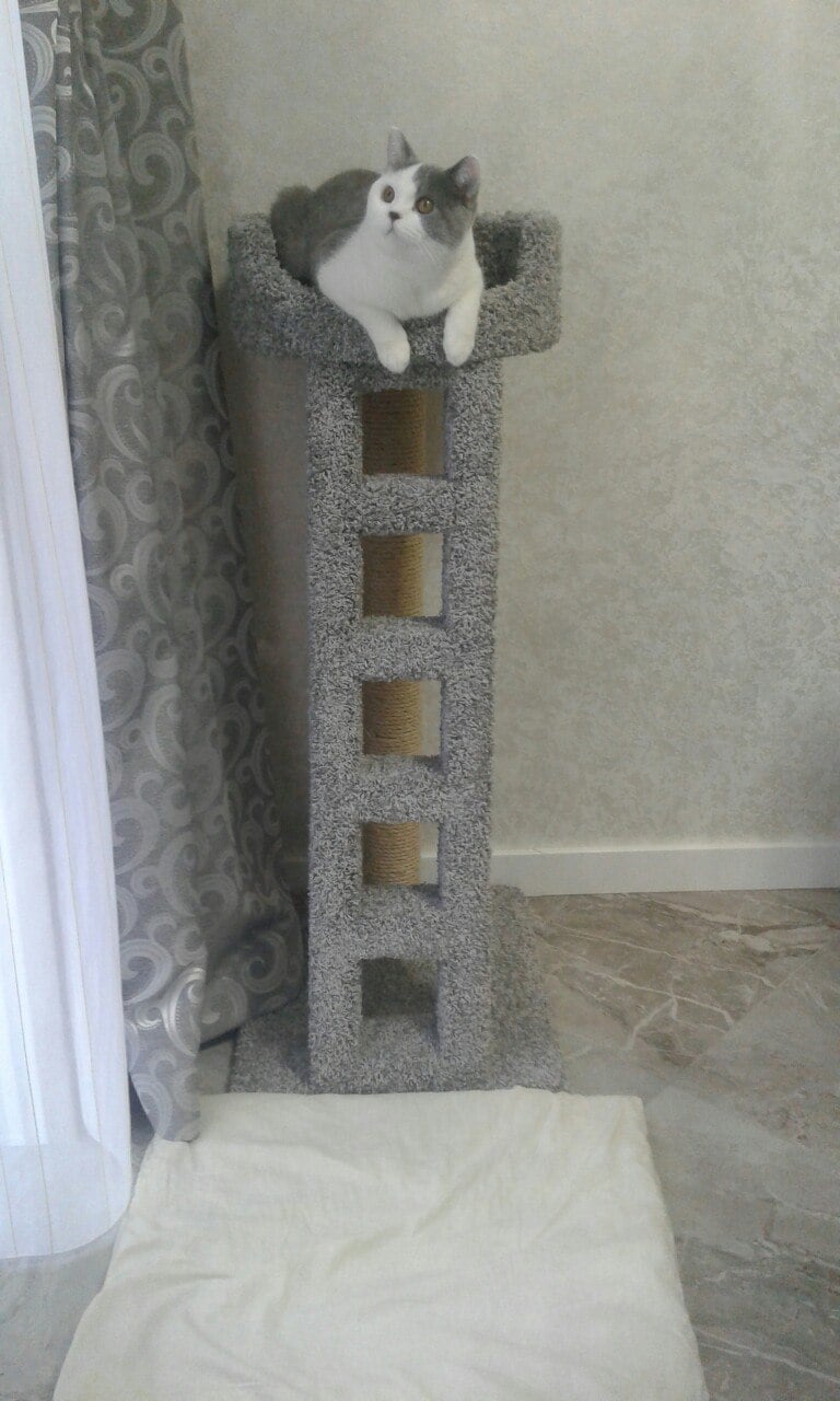 когтеточка для кошек лежанка с лестницей