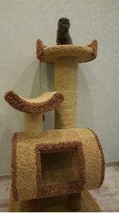 Комплексы для кошек «Атука» – фото 9
