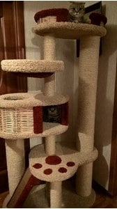 Комплексы для кошек «Иннусик» – фото 31