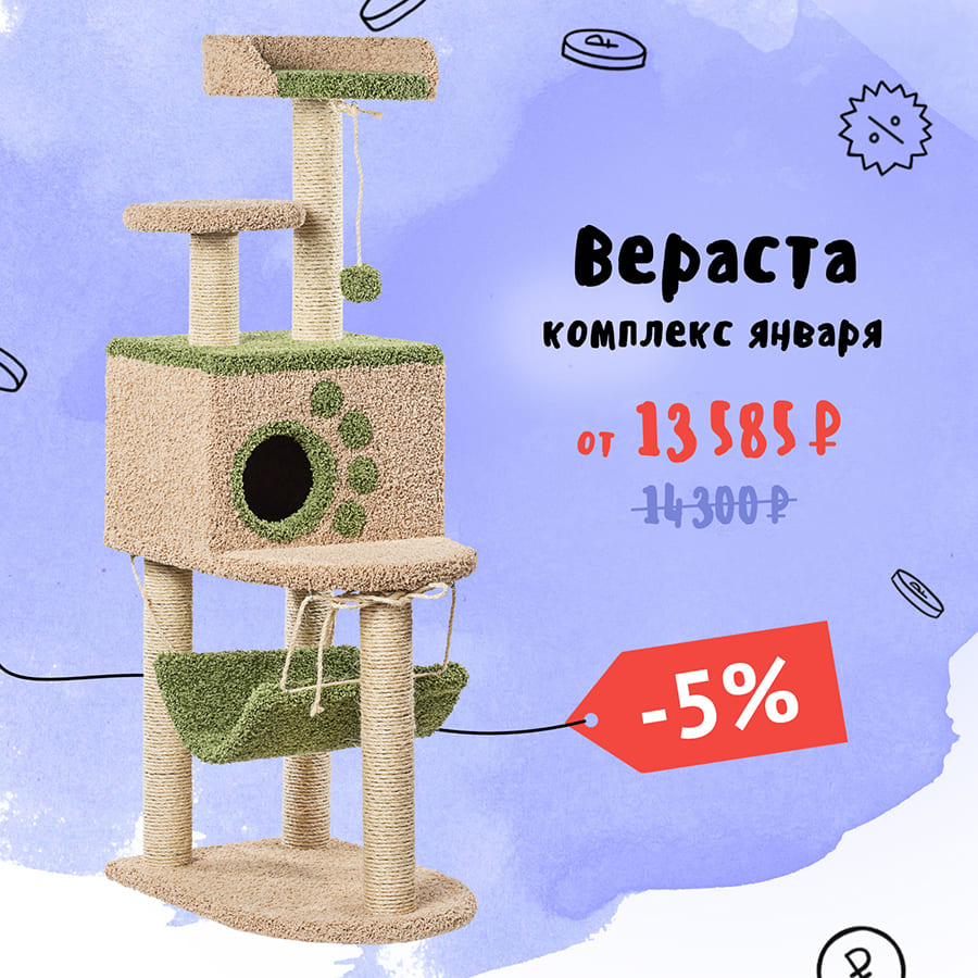 Вераста — комплекс января 2025