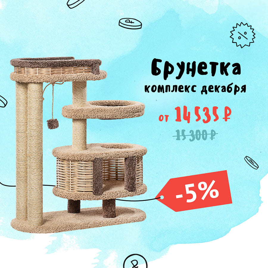 Брунетка — комплекс декабря 2025