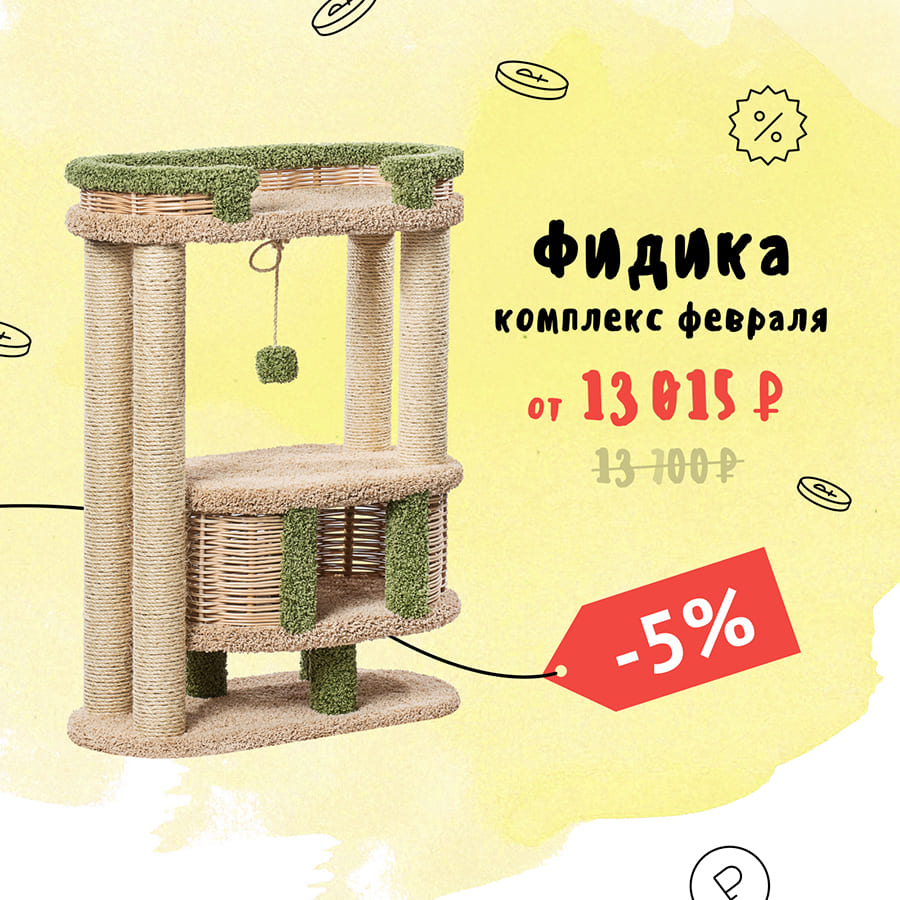 Фидика — комплекс февраля 2026