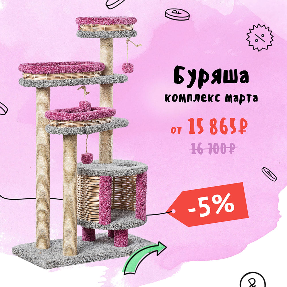 Буряша — комплекс марта 2026