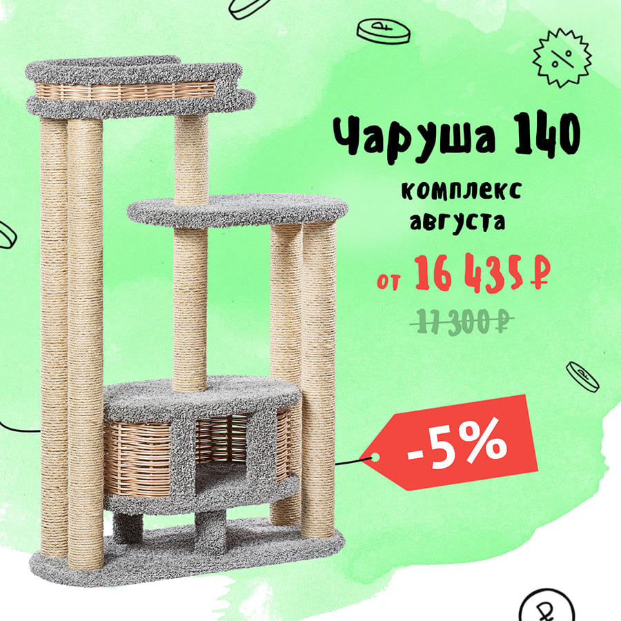 Чаруша 140 — комплекс августа 2026