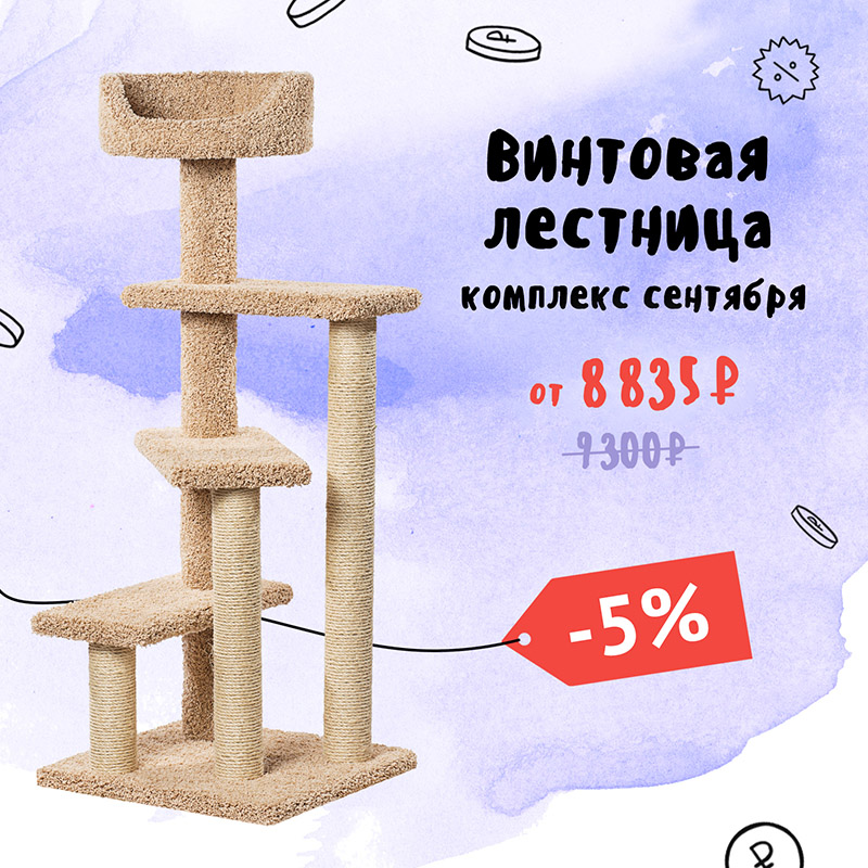 Винтовая лестница — комплекс сентября 2026