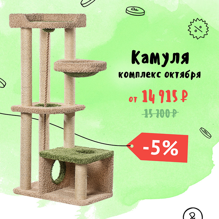 Камуля — комплекс октября 2026