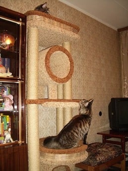 Фото комплекса для кошек «Округлый с плетеной лежанкой и трубой» от Пушка