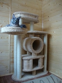 Фото комплекса для кошек «Бобоша» от Пушка