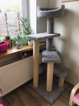 Фото комплекса для кошек «Винтовая лестница» от Пушка