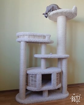 Фото комплекса для кошек «Гарошик» от Пушка