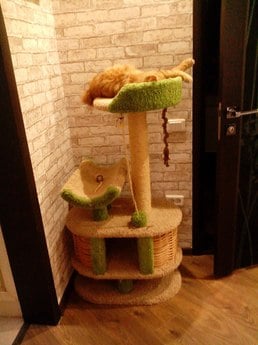 Фото домика для кошек «Йорик» от Пушка