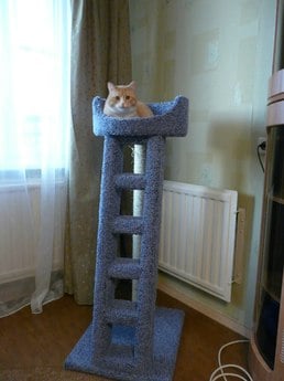 Фото когтеточки для кошек «Лежанка с лестницей» от Пушка