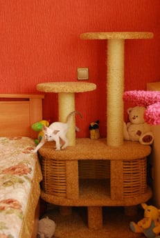 Фото домика для кошек «Моник» от Пушка