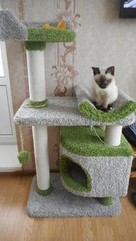Фото домика для кошек «Монти» от Пушка