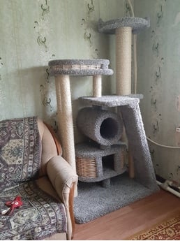 Фото комплекса для кошек «Брюжа» от Пушка