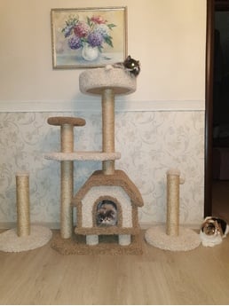 Фото домика для кошек «Конура на ножках» от Пушка