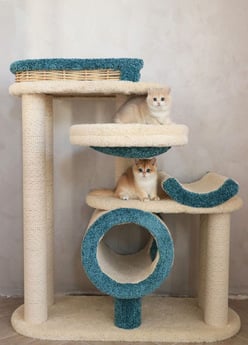 Фото комплекса для кошек «Брыкся» от Пушка