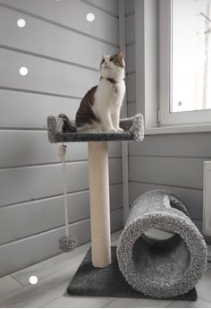 Фото когтеточки для кошек «Грамулечка» от Пушка