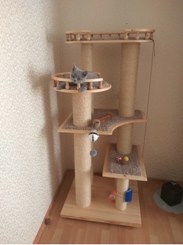 Фото комплекса для кошек «Капоти» от Пушка