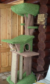 Фото комплекса для кошек «Дерево» от Пушка