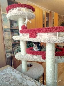Комплексы для кошек «Буряша» – фото 16