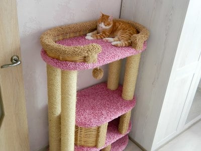 Комплексы для кошек «Фидика» – фото 23