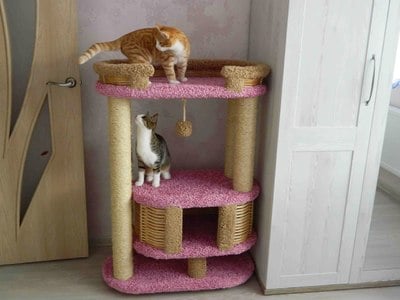 Комплексы для кошек «Фидика» – фото 22