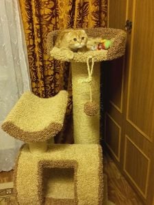 Комплексы для кошек «Атука» – фото 6