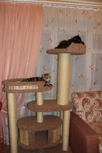 Комплексы для кошек «Гарошик» – фото 9
