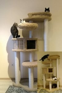 Комплексы для кошек «Басик+» – фото 50