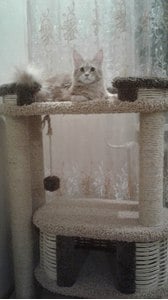 Комплексы для кошек «Фидика» – фото 24