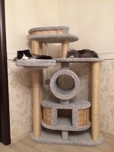 Комплексы для кошек «Бобоша» – фото 11