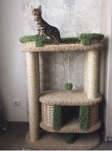 Комплексы для кошек «Фидика» – фото 29