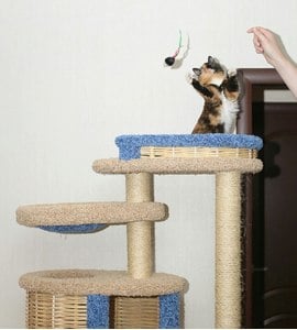Комплексы для кошек «Басик+» – фото 55