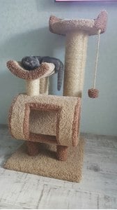Комплексы для кошек «Атука» – фото 8