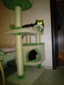 Домики для кошек «Монти» – фото 3