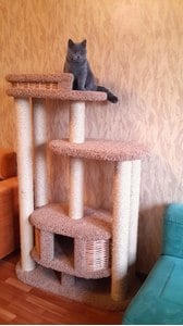 Комплексы для кошек «Эдуська» – фото 8