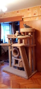 Комплексы для кошек «Эдуська» – фото 6