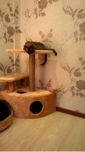Домики для кошек «Угловой со ступенькой» – фото 2