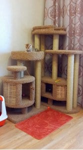 Комплексы для кошек «Эдуська» – фото 10