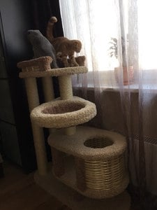 Комплексы для кошек «Брунетка» – фото 35