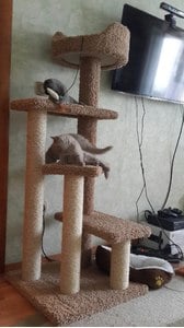 Комплексы для кошек «Винтовая лестница» – фото 9