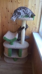 Домики для кошек «Йорик» – фото 13