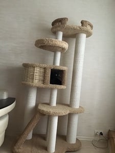 Комплексы для кошек «Иннусик» – фото 17