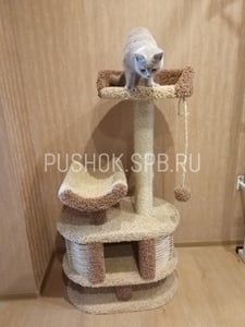 Домики для кошек «Йорик» – фото 2