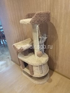 Домики для кошек «Йорик» – фото 3