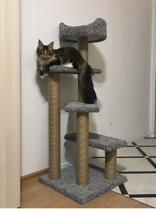 Комплексы для кошек «Винтовая лестница» – фото 4