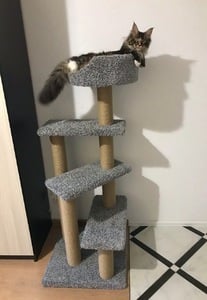 Комплексы для кошек «Винтовая лестница» – фото 5