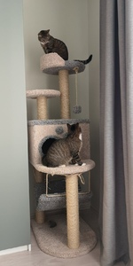 Комплексы для кошек «Вераста» – фото 9