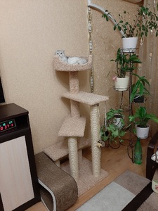 Комплексы для кошек «Винтовая лестница» – фото 2